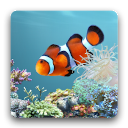 Aquarium live wallpapers for android free download windows 7